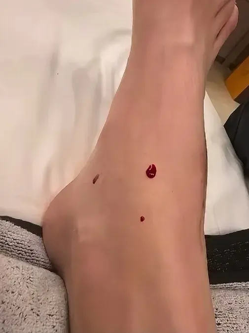 自从赵勇接