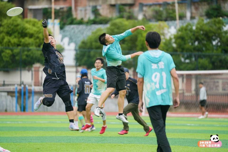日报道