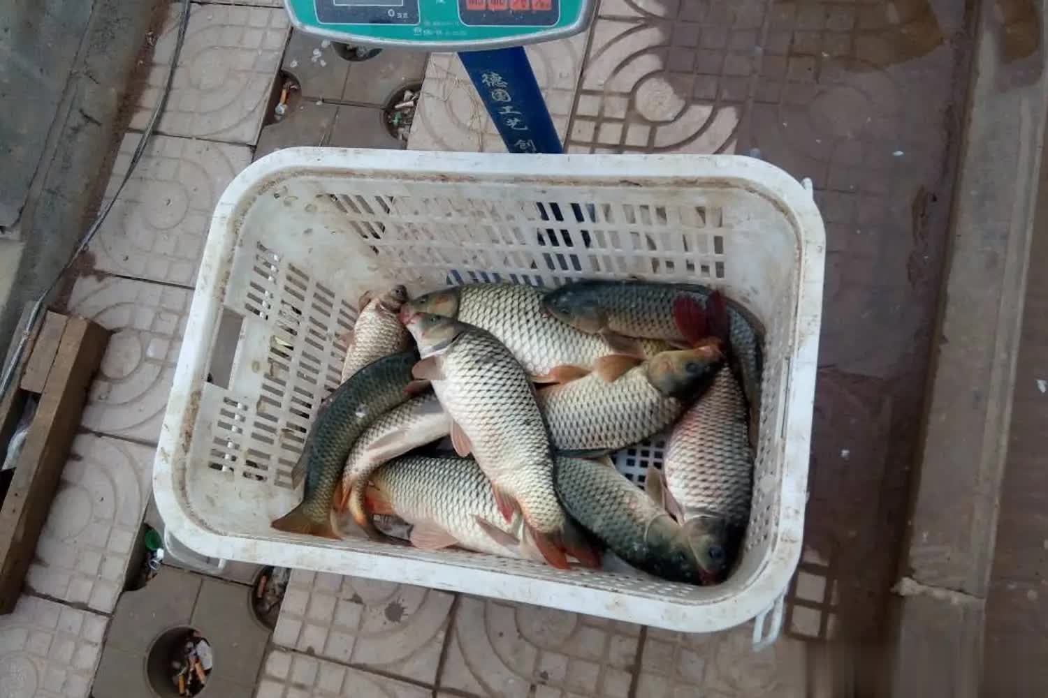 但是